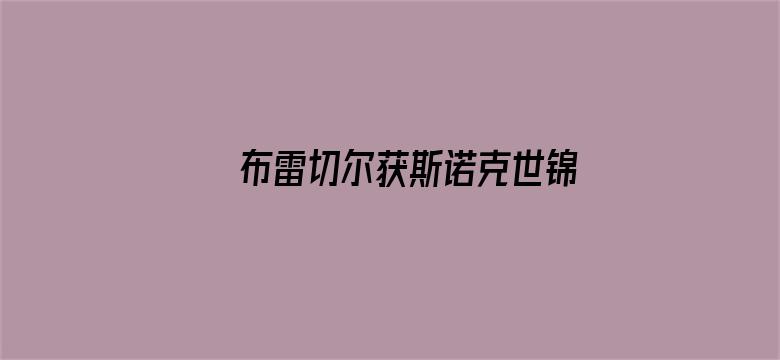 布雷切尔获斯诺克世锦赛冠军